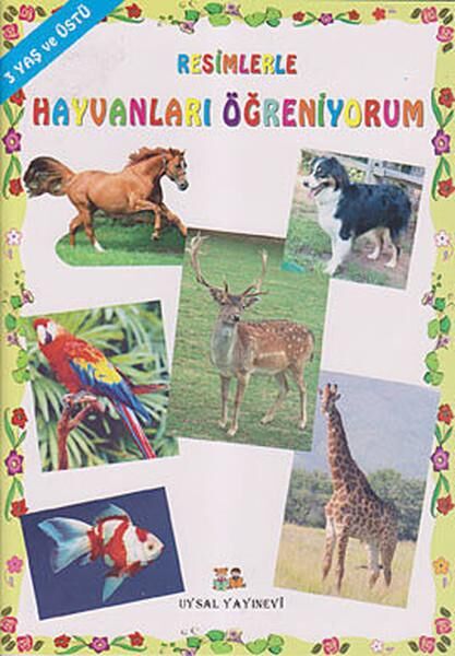 Uysal Yayınevi Aktivite ve Zeka Gelişim Kitapları