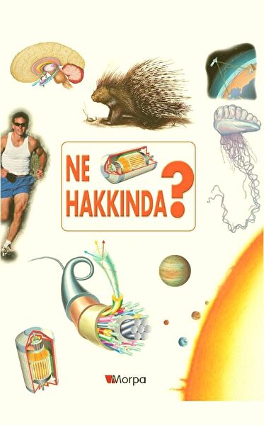 Sahra Eğitici Oyuncaklar