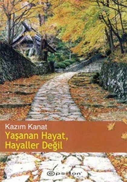 Epsilon Yayınevi Deneme, İnceleme