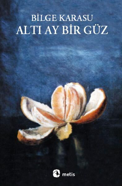 Metis Yayınları Roman