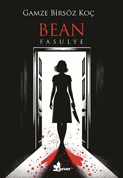 Çınar Yayınları Roman