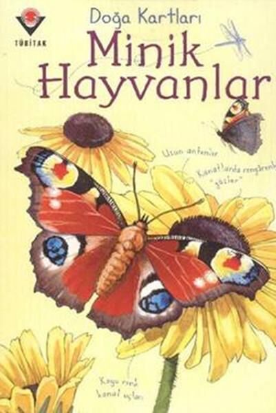 TÜBİTAK Yayınları Eğitici Oyuncaklar