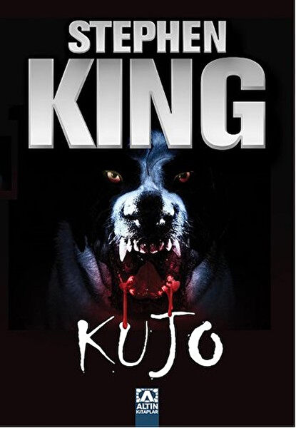 Çay Yayınları Öykü