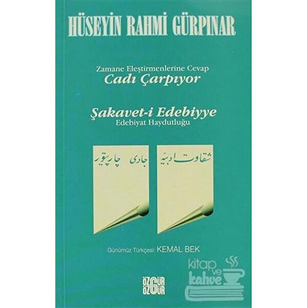 Özgür Yayınları Edebiyat Kuramı