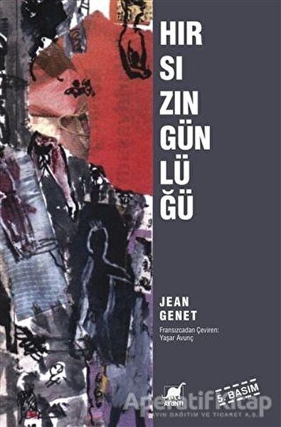 Ayrıntı Yayınevi Roman