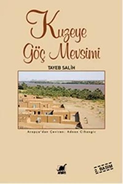 Ayrıntı Yayınevi Roman