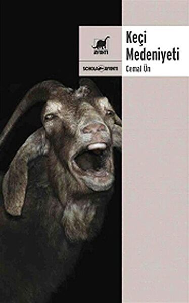 Ayrıntı Yayınevi Akademik Kitaplar