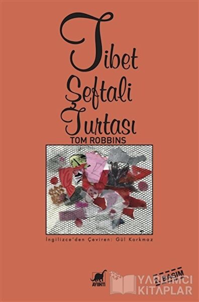 Ayrıntı Yayınevi Roman