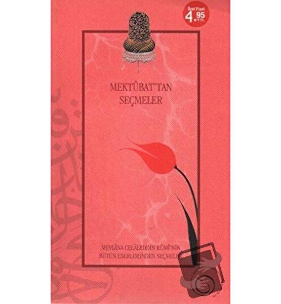 Rumi Yayınları Deneme, İnceleme