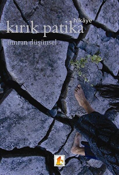 Babek Yayınları Roman