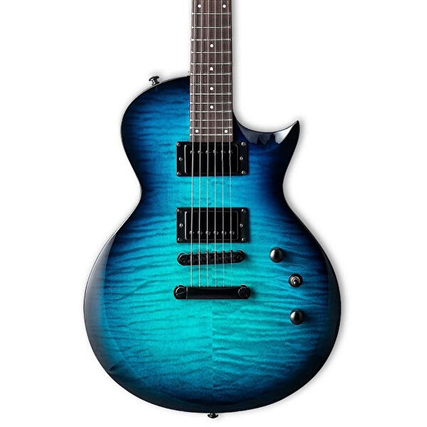 ESP LTD Gitar