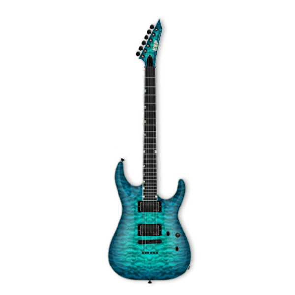 ESP LTD Gitar