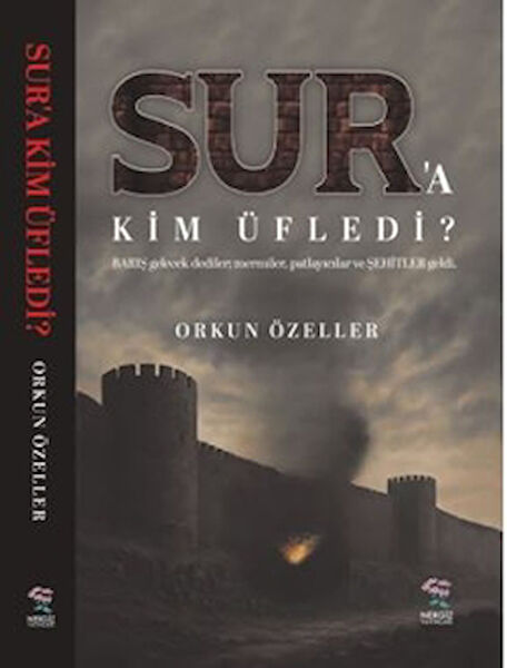 Nergiz Yayınları Edebiyat Kuramı