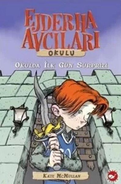 Beyaz Balina Yayınları Araştırma, Tarih