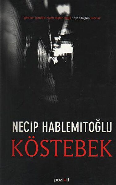 Pozitif Yayınları Deneme, İnceleme