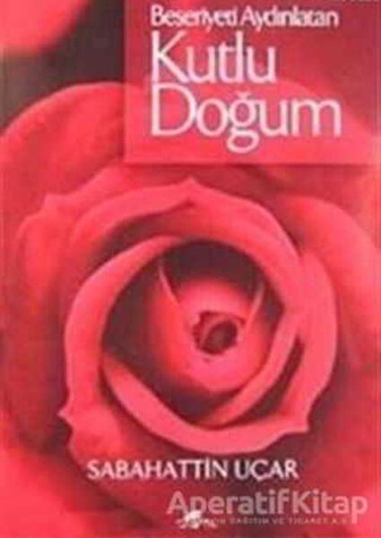 Ravza Yayınları Araştırma, Tarih