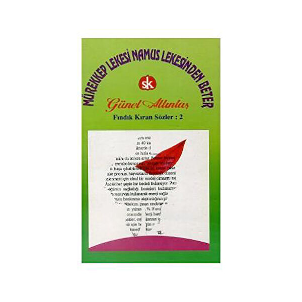 Muhtelif Anı, Günlük, Seyahatname