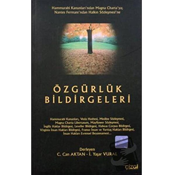 Çizgi Kitabevi Yayınları Siyaset ve İdeoloji