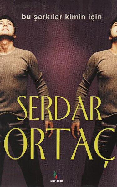 Mavi Ağaç Yayınları Roman