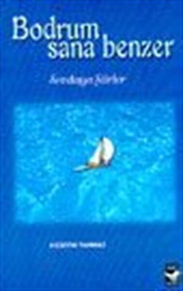 Arı Sanat Yayınevi Şiir