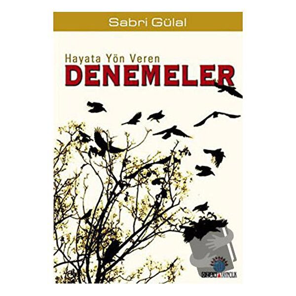 Ozan Yayıncılık Deneme, İnceleme