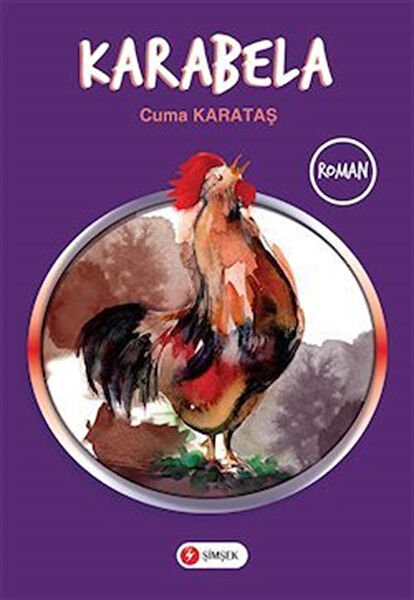 Şimşek Yayınevi Çocuk Roman ve Klasikleri