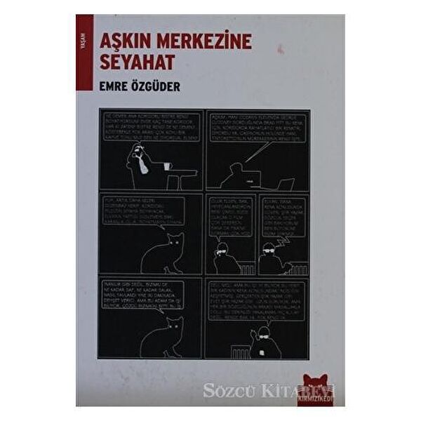 Kırmızı Kedi Yayınevi Deneme, İnceleme