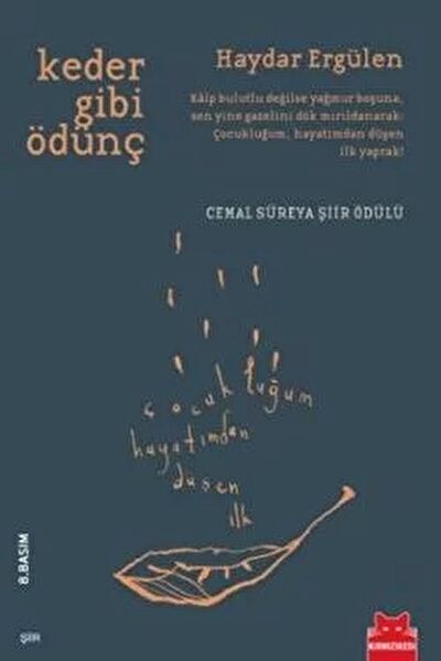 Kırmızı Kedi Yayınevi Şiir