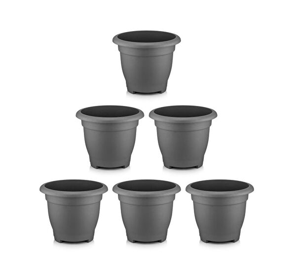 Omnipazar Vazo, Saksı