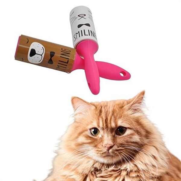 YNT Kedi Tarak, Fırça, Makas