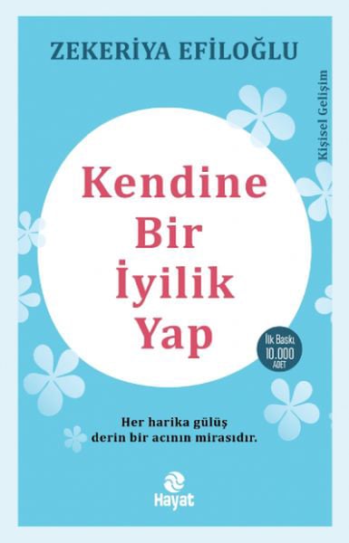 Hayat Yayınevi Roman Kitapları