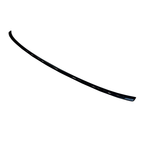 Autogp Anatomik Spoiler