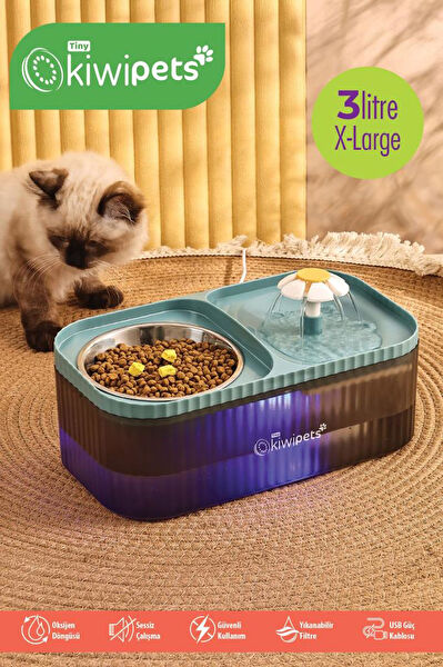 Kiwi Kedi Mama ve Su Kapları