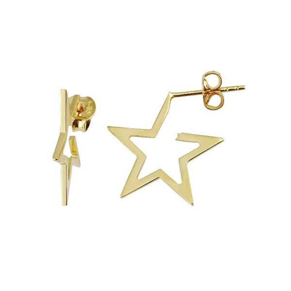 Engingold Altın Küpe