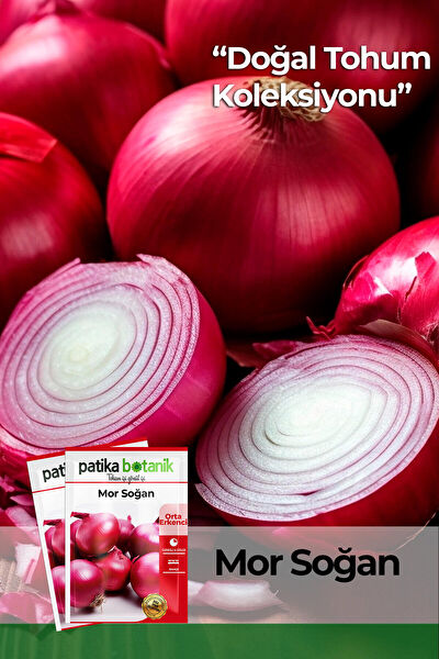 Patika Botanik Tohum