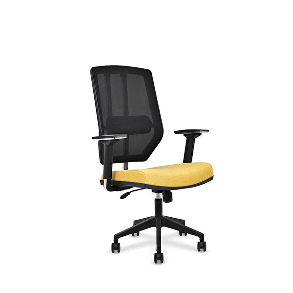 Herkese Mobilya Yönetici Koltuğu