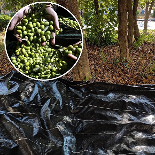 Sera Trend Meyve Toplama Aleti