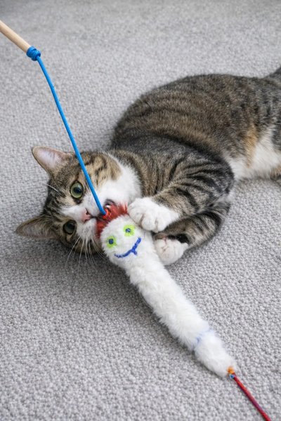 MasterCat Kedi Oyuncakları
