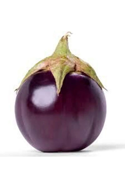 Serdar Çam Tohumculuk Tohum