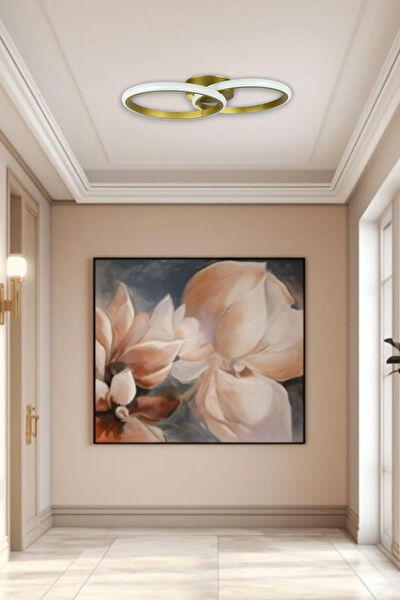 Legacy Avize, Sarkıt