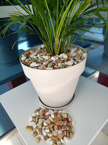 Asenya Bahçe Dekoratif Ürünleri