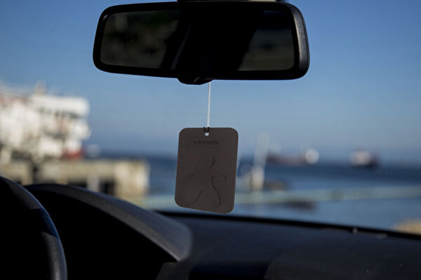 Hanedanev Oto Kokuları