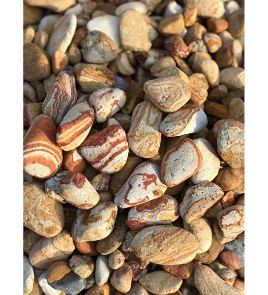 Asenya Bahçe Dekoratif Ürünleri