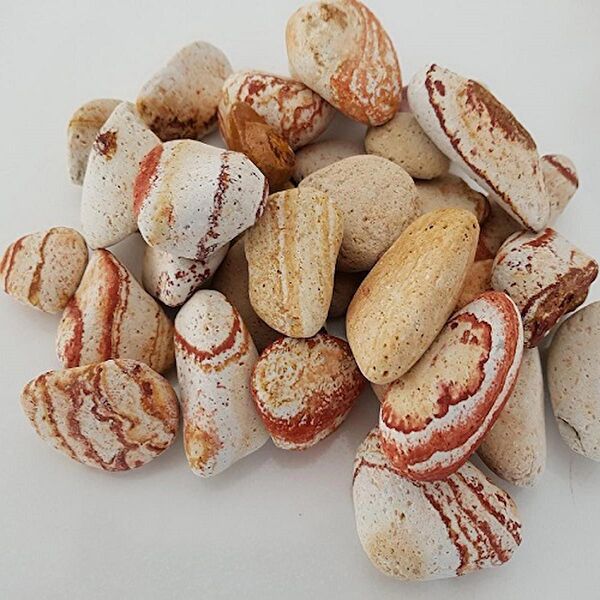 Asenya Bahçe Dekoratif Ürünleri