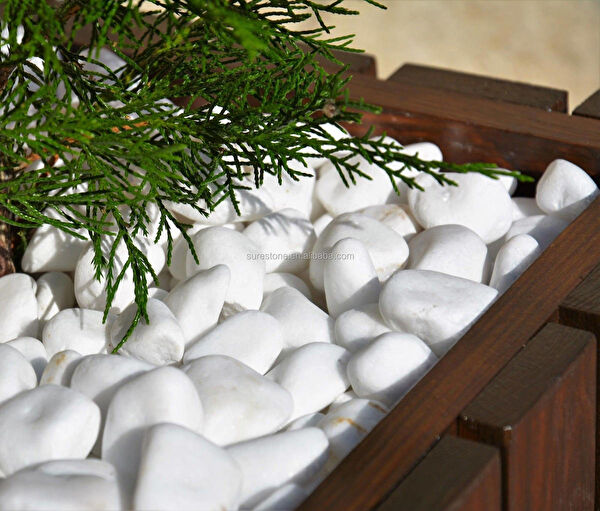 Asenya Bahçe Dekoratif Ürünleri