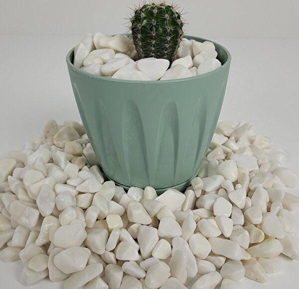 Asenya Bahçe Dekoratif Ürünleri