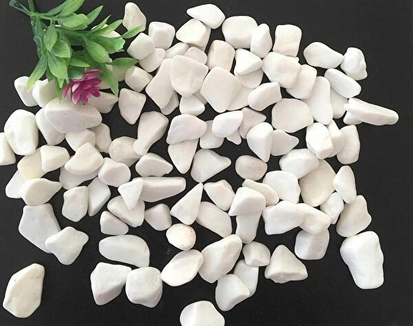 Asenya Bahçe Dekoratif Ürünleri