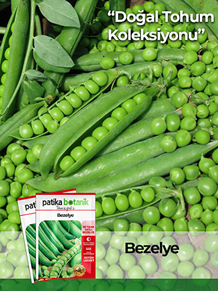 Patika Botanik Tohum