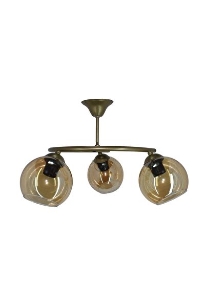 Mutu Ticaret Avize, Sarkıt