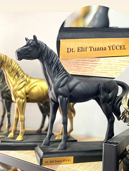 Mirsa Global Dekoratif Obje, Biblo, Figür